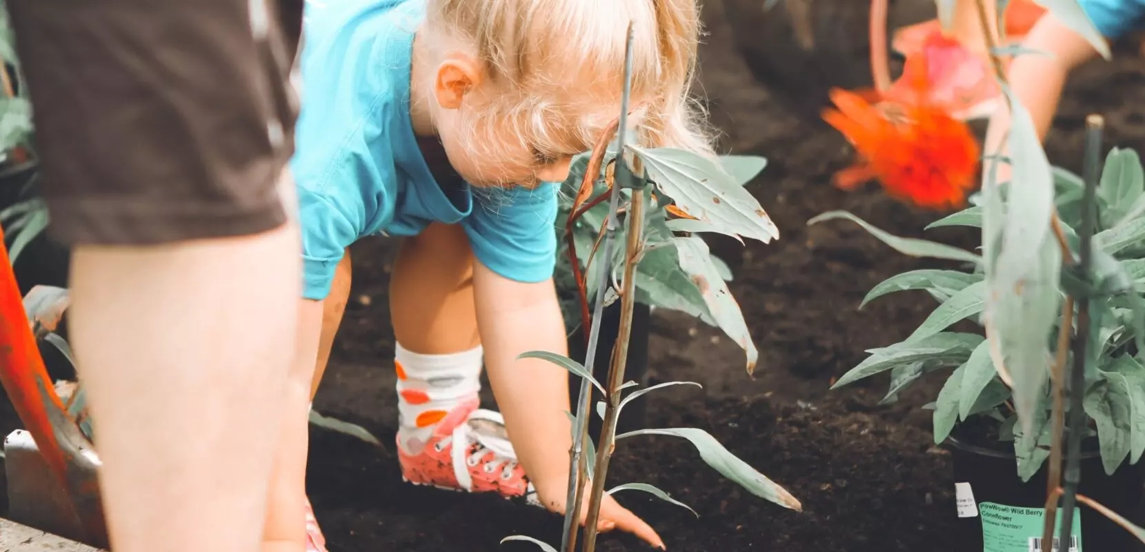 a young child plants a crop to solve a problem