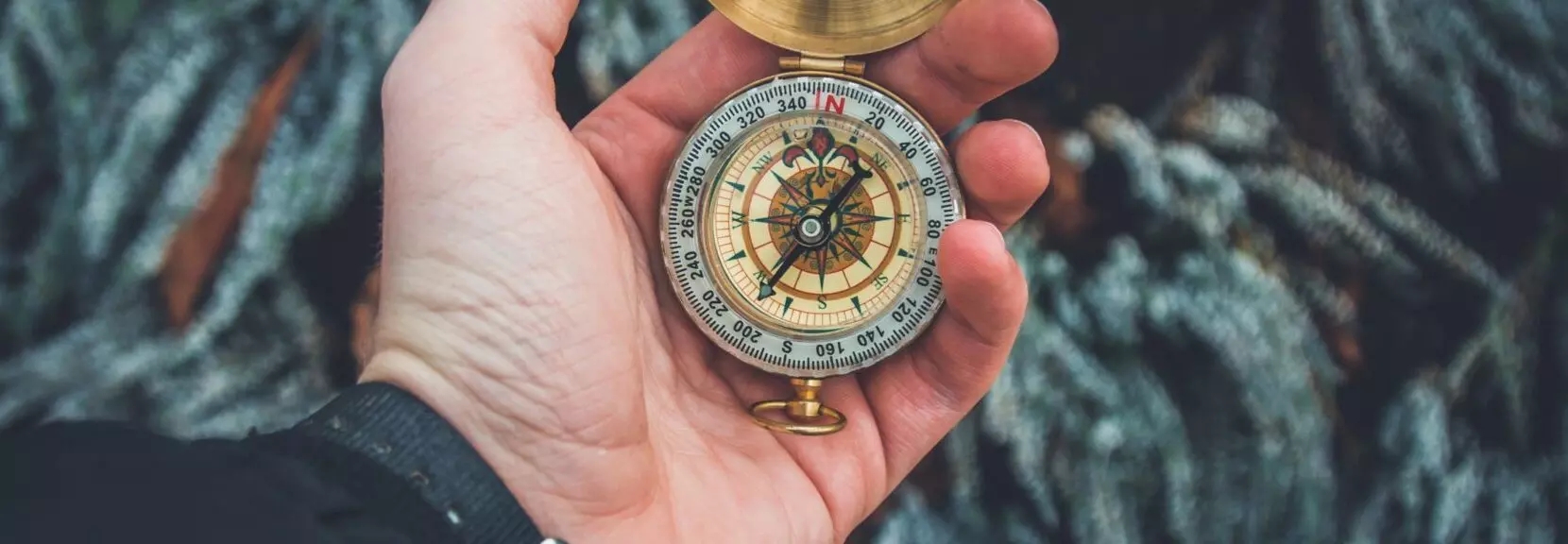 a hand holds a compass in front of some trees
